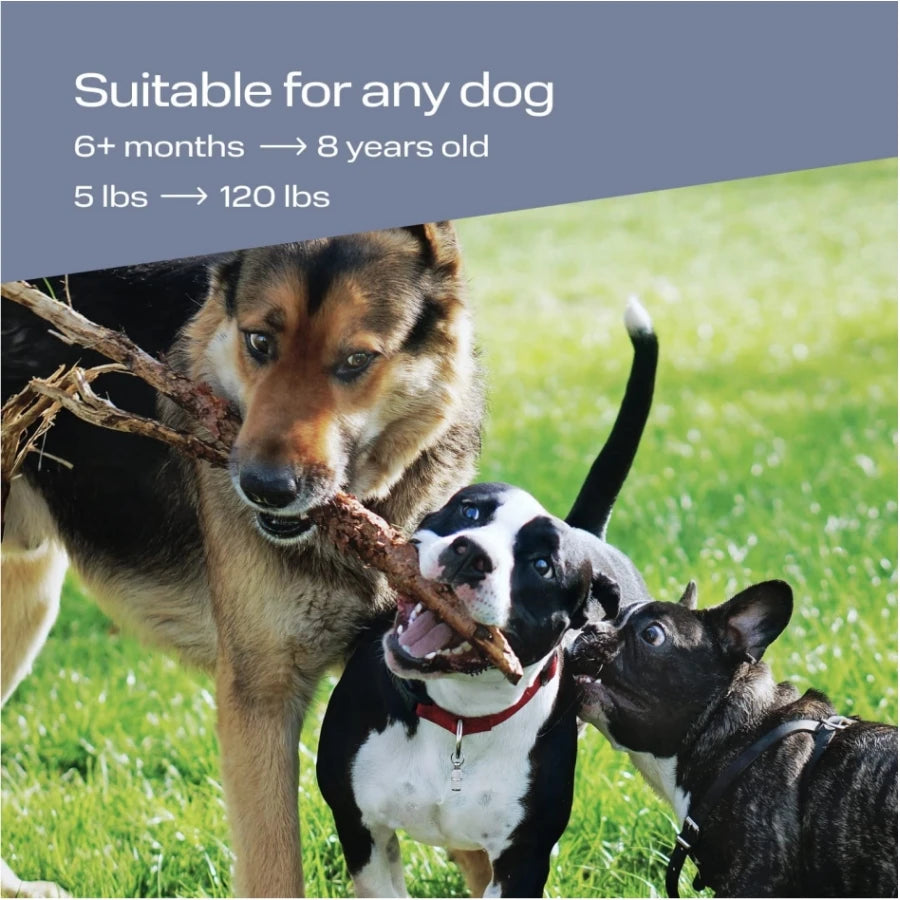 Handheld Ultrasonic Dog Trainer Repeller Pet anti Barking Repeller anti Barking Stop Bark Training Control Device with LED Light